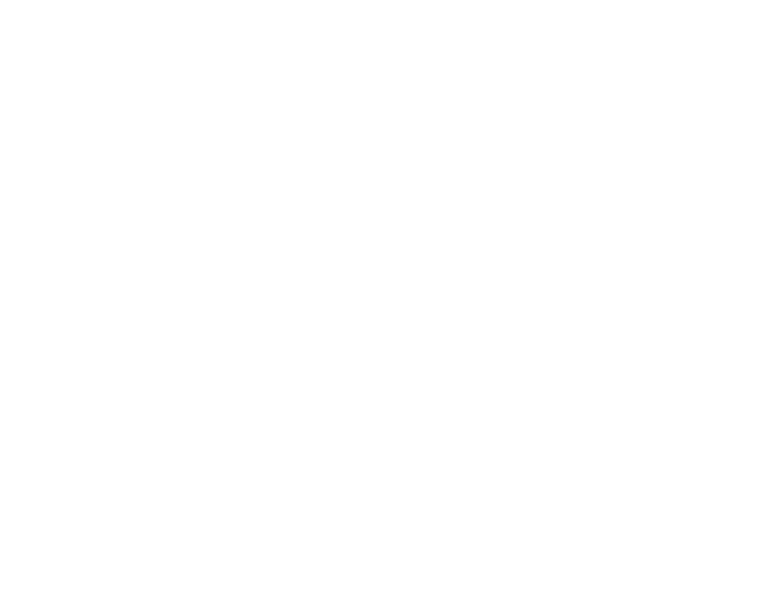 Debra's Hair Studio logo